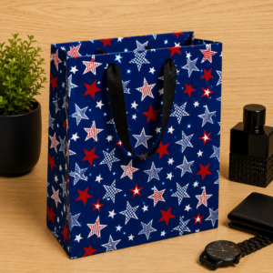 SACOLAS MASCULINA 25X20X15 D6